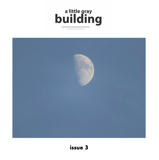 A Little Gray Building, Issue 3